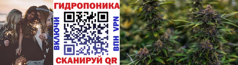где купить наркотик Павловская Конопля Amnesia